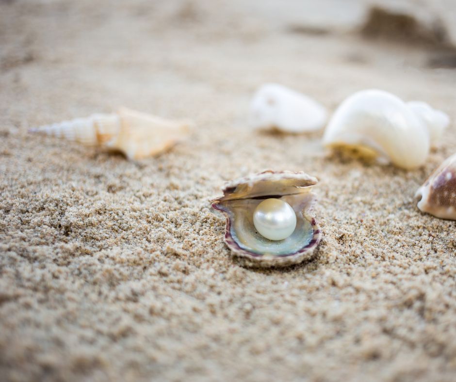 eine geöffnete Muschel liegt am Strand. Darin liegt eine Perle, die die Dienstleistung von Erkenhild Marx LLC symbolisiert